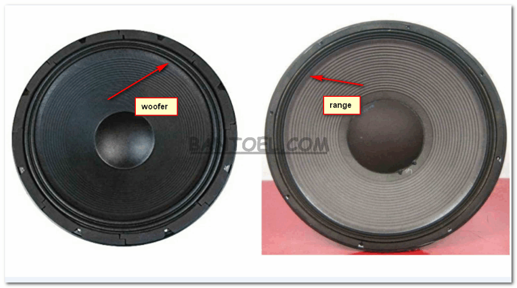 Dynacord 12 Inch